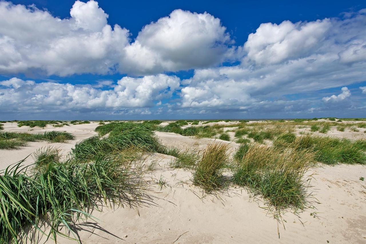 Appartement Duinzee Texel De Koog  Bagian luar foto